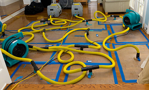 Professional Basement Flood Cleanup technician working in Catskill, NY